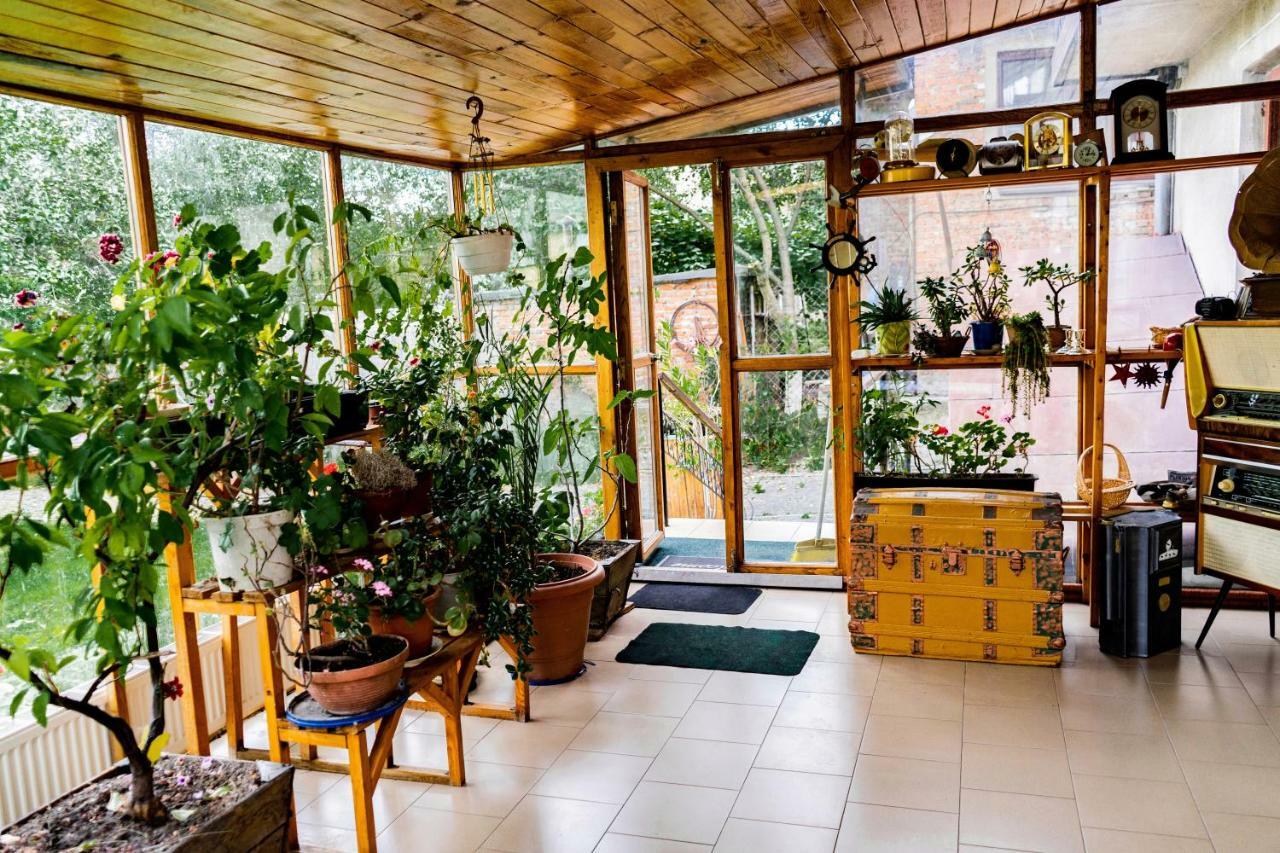 Hostel Villa Romaリヴィウ エクステリア 写真